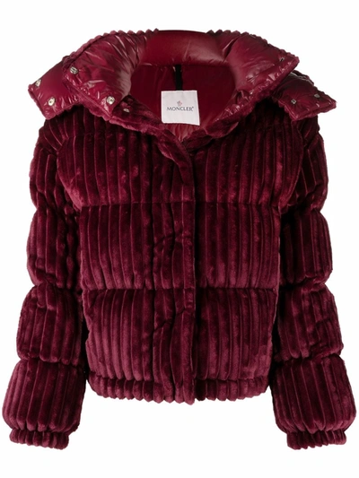 Moncler Womens Red Daos Quilted Velvet Puffer Jacket Xs In Burgundy