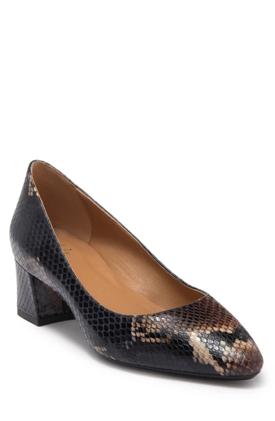 Aquatalia Pasha Navy/brown In Navy/brown