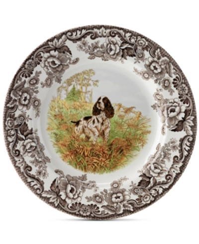 Spode Woodland English Spaniel Dinner Plate In Brown