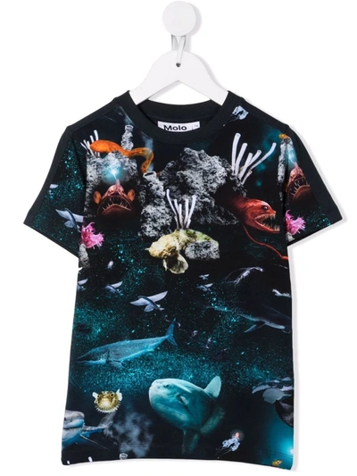 Molo Kids' Deep Sea-print Stretch-organic Cotton T-shirt In Blu