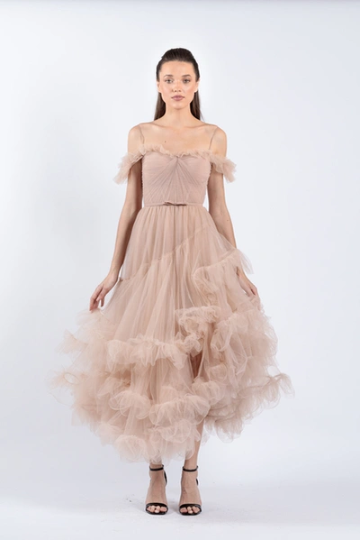 Zeena Zaki Off Shoulder Illusion Tulle Dress In Pink