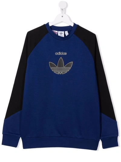 Adidas Originals Teen Logo Print Panelled Sweatshirt In Blue