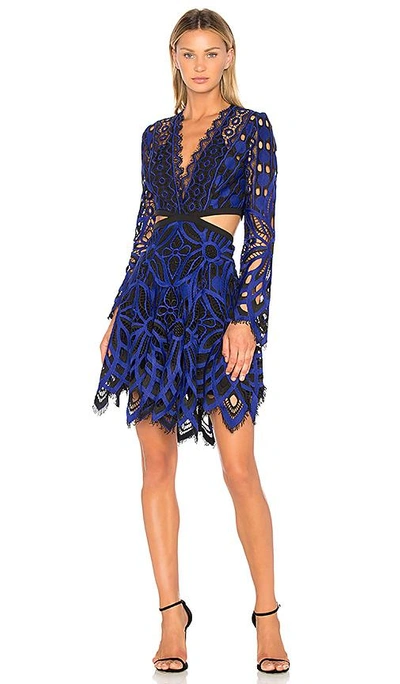 Thurley Vassete Lace Dress In Royal
