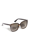 Gucci Lightness Square Sunglasses In Havana Brown