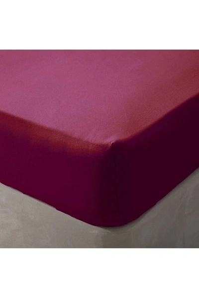 Belledorm Brushed Cotton Fitted Sheet (red) (queen) (uk