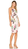 Airlie Isolla Bella Midi Dress In Pink Print