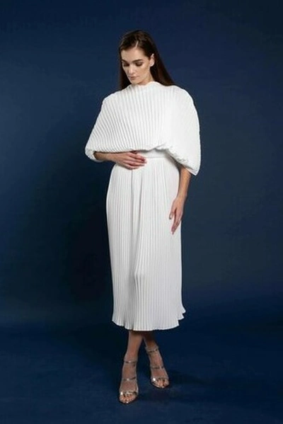 Anaya Rianna Pleated Dress