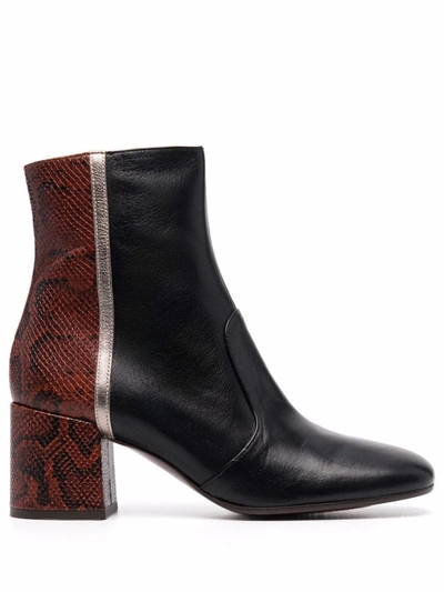 CHIE MIHARA Boots for Women | ModeSens