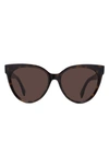 Fendi 56mm Rounded Cat Eye Sunglasses In Dark Havana Brown