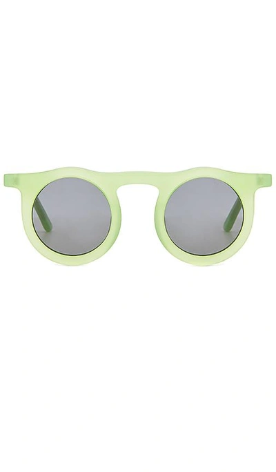 Carla Colour Lind Sunglasses In Gang-green With Haze Lenses | ModeSens