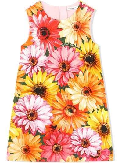 Dolce & Gabbana Kids' Sleeveless Gerbera-daisy Print Dress In Orange