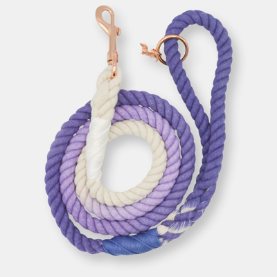 Sassy Woof Rope Leash In Purple
