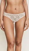 Hanky Panky Signature Lace Bikini Briefs In Chai