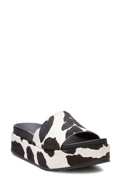 Matisse Hideaway Leather Footbed Sandal In Black White Cow Spot