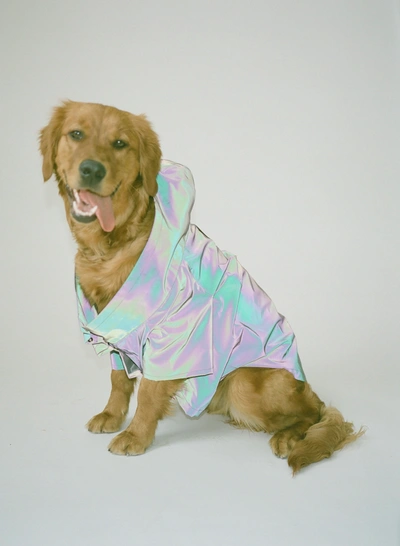 Aapetpeople Weather Proof Pet Coat