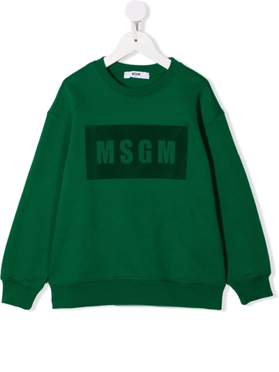 Msgm Kids' Logo-print Sweatshirt In Green