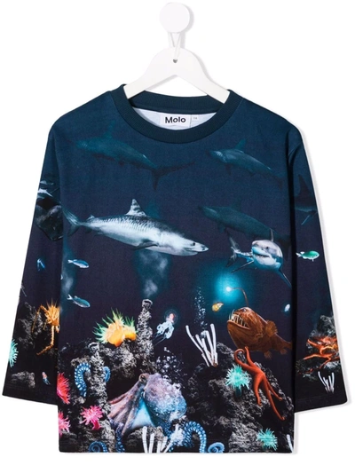 Molo Kids' Aquatic-life Print T-shirt In Blu