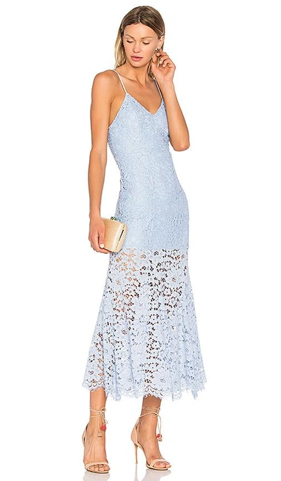 Nbd Brielle Lace Midi Dress In Periwinkle