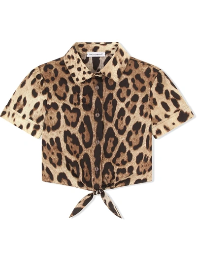 Dolce & Gabbana Kids' Leopard-print Cropped Cotton Shirt In Brown