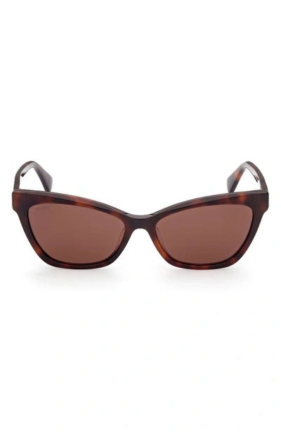Max Mara 58mm Cat Eye Sunglasses In Dark Havana / Brown