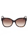 Max Mara Butterfly 56mm Gradient Cat Eye Sunglasses In Dark Havana