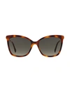 Jimmy Choo Ladies Tortoise Cat Eye Sunglasses Shade/s C9b 55 In Brown,tortoise