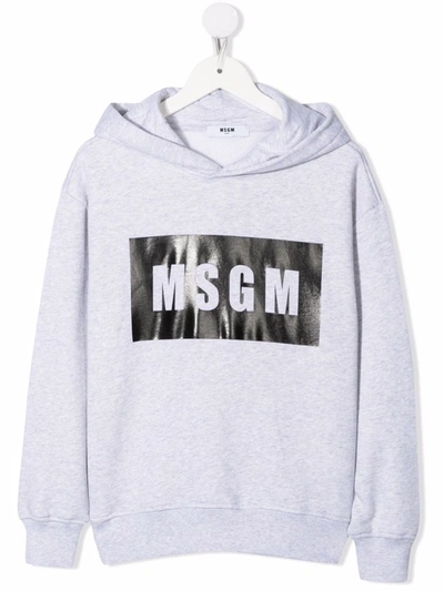 Msgm Teen Logo Print Hoodie In Grey
