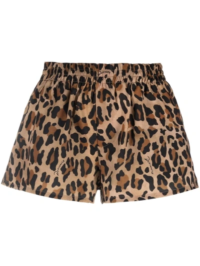 Dsquared2 Leopard Print Jersey Pyjama Shorts In Brown