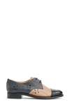 The Office Of Angela Scott Mr. Ava Tricolor Mixed Leather Oxfords In Colorblock