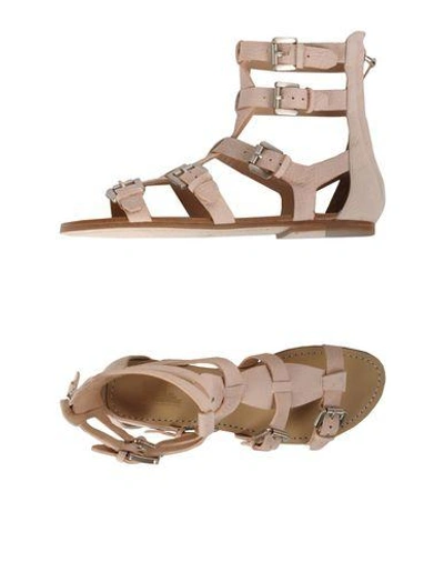 Belle By Sigerson Morrison Sandals In Pink