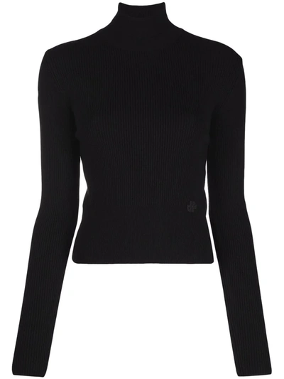 Patou Narrow Ribbed Sweater With Turtleneck In Black