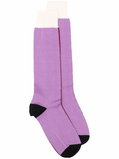 Marni Colour-block Exposed Seam Socks In 紫色