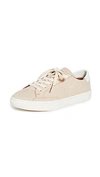 Soludos Ibiza Classic Lace Up Sneakers In Nude