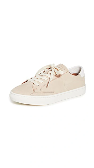 Soludos Ibiza Classic Lace Up Sneakers In Nude