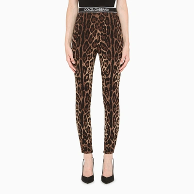 Dolce & Gabbana Leopard-print Logoed Dress