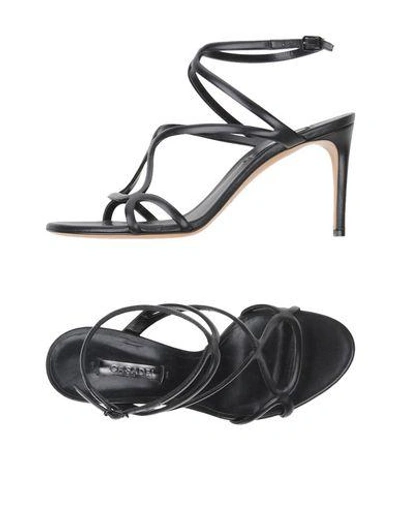 Casadei Sandals In Black