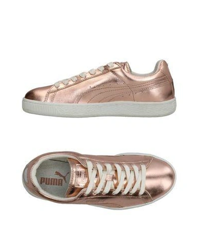 Puma Sneakers In Copper