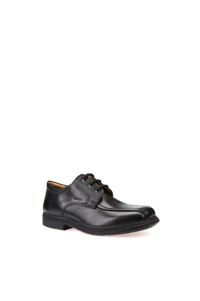 Geox Boys Federico Leather Shoes (black)