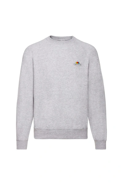 Fruit Of The Loom Mens Vintage Small Logo Set-in Sweatshirt (gray Heather) In Grey
