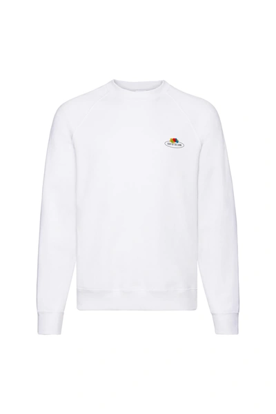 Fruit Of The Loom Mens Vintage Small Logo Set-in Sweatshirt (white)