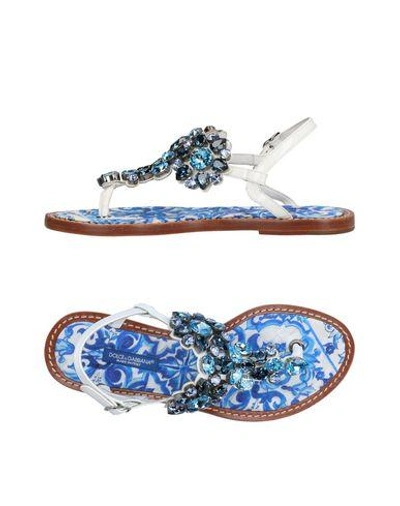 Dolce & Gabbana Flip Flops In Blue