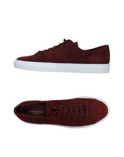 Common Projects Sneakers In Deep Purple
