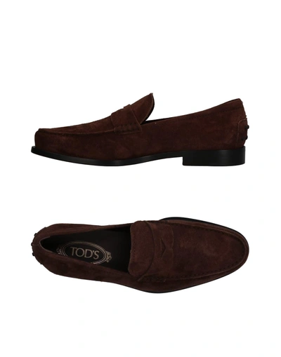 Tod's Loafer In Dark Brown