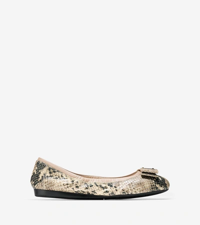 Cole Haan Tali Bow Ballet Flat - Roccia Snake Print Leather