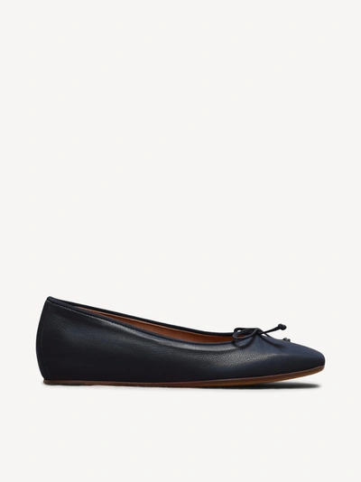 M. Gemi The Danza In Navy