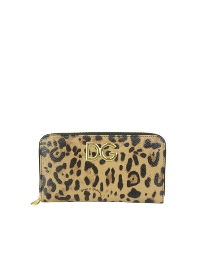 Dolce & Gabbana Wallet In Leopard