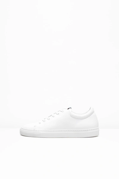Zadig & Voltaire Fred Sneakers