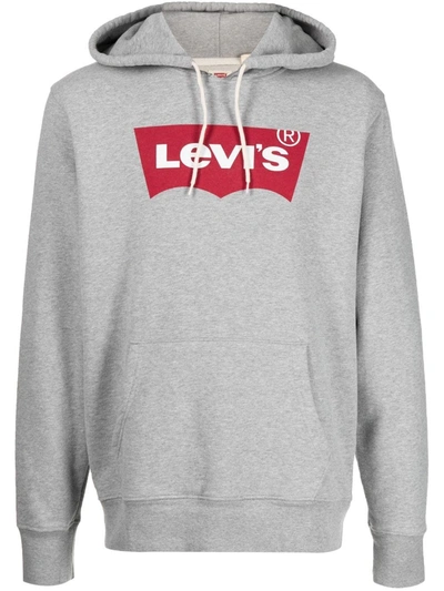 Levi's Men's Regular Fit Batwing Graphic Logo Hoodie In Grey