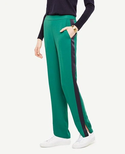 Ann Taylor Petite Tux-stripe Track Pants In Forest Leaves