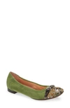 Agl Attilio Giusti Leombruni Monika Cap Toe Ballet Flat In Forest/ Olive/ Pebble